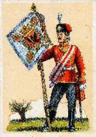 Freiwillige Jäger und Volontairs