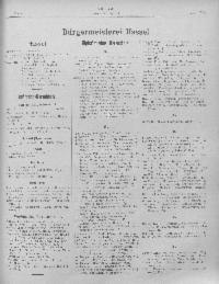scan EinwVz-1099